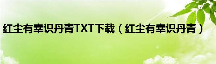 红尘有幸识丹青TXT下载（红尘有幸识丹青）