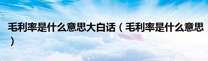 毛利率是什么意思大白话（毛利率是什么意思）