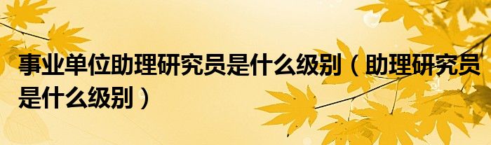 事业单位助理研究员是什么级别（助理研究员是什么级别）