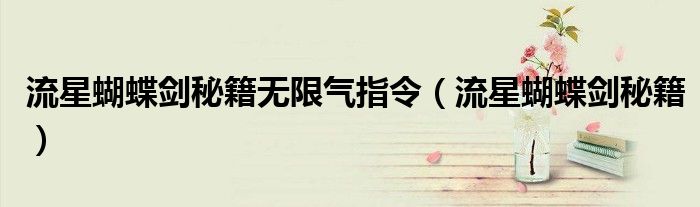 流星蝴蝶剑秘籍无限气指令（流星蝴蝶剑秘籍）