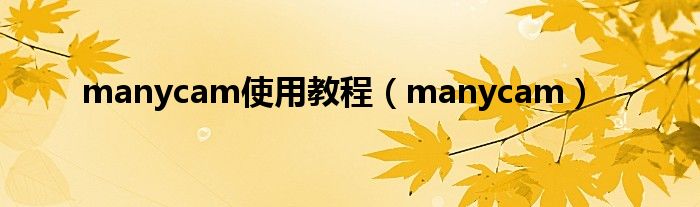 manycam使用教程（manycam）