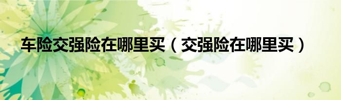 车险交强险在哪里买（交强险在哪里买）