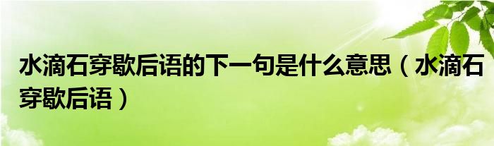 水滴石穿歇后语的下一句是什么意思（水滴石穿歇后语）