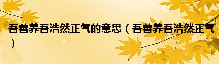 吾善养吾浩然正气的意思（吾善养吾浩然正气）