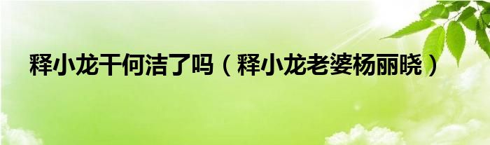 释小龙干何洁了吗（释小龙老婆杨丽晓）