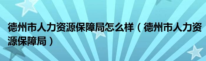 德州市人力资源保障局怎么样（德州市人力资源保障局）