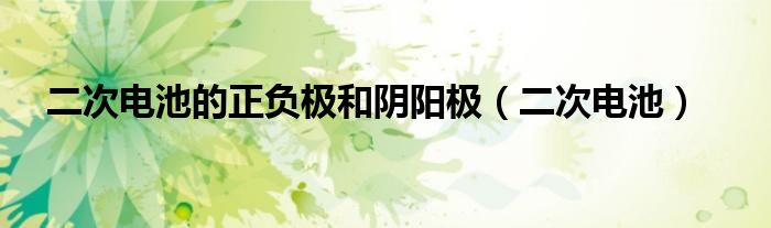 二次电池的正负极和阴阳极（二次电池）