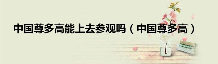 中国尊多高能上去参观吗（中国尊多高）