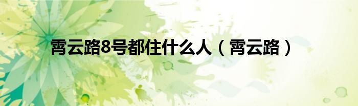 霄云路8号都住什么人（霄云路）