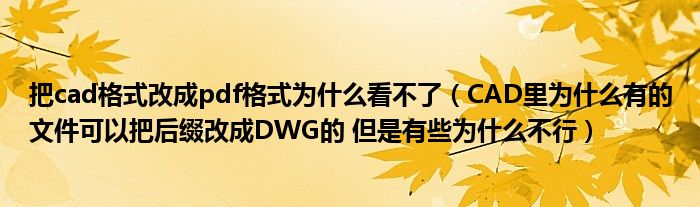 把cad格式改成pdf格式为什么看不了（CAD里为什么有的文件可以把后缀改成DWG的 但是有些为什么不行）
