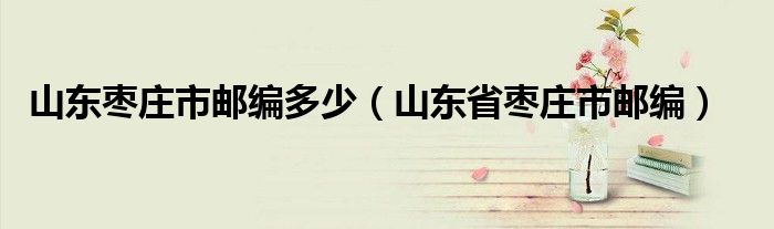 山东枣庄市邮编多少（山东省枣庄市邮编）