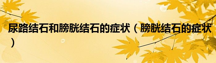 尿路结石和膀胱结石的症状（膀胱结石的症状）