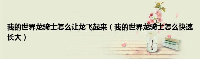 我的世界龙骑士怎么让龙飞起来（我的世界龙骑士怎么快速长大）