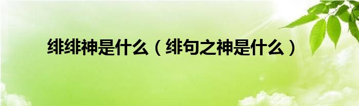 绯绯神是什么（绯句之神是什么）
