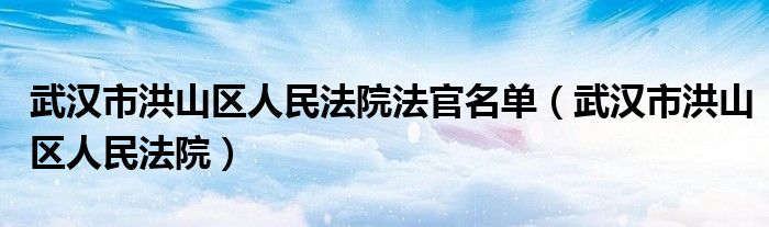 武汉市洪山区人民法院法官名单（武汉市洪山区人民法院）
