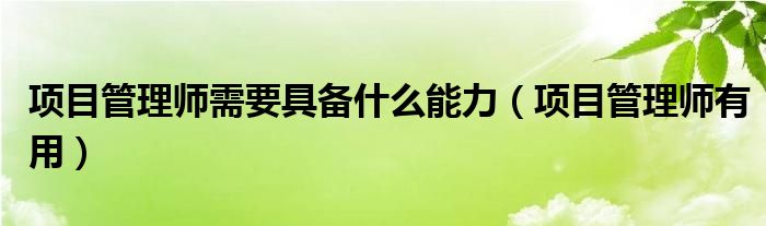 项目管理师需要具备什么能力（项目管理师有用）