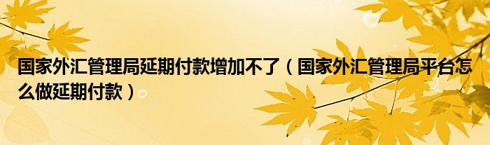 国家外汇管理局延期付款增加不了（国家外汇管理局平台怎么做延期付款）