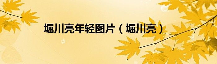 堀川亮年轻图片（堀川亮）