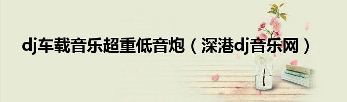 dj车载音乐超重低音炮（深港dj音乐网）