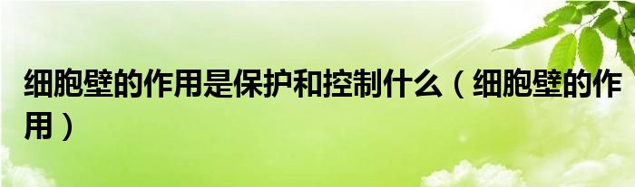 细胞壁的作用是保护和控制什么（细胞壁的作用）