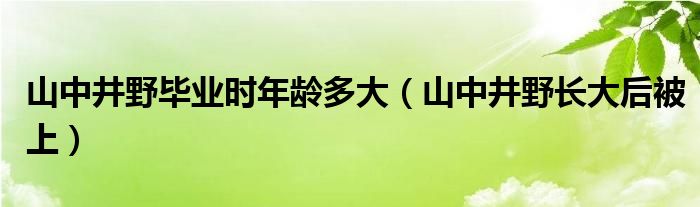 山中井野毕业时年龄多大（山中井野长大后被上）