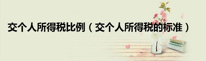 交个人所得税比例（交个人所得税的标准）