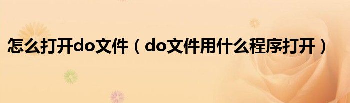 怎么打开do文件（do文件用什么程序打开）