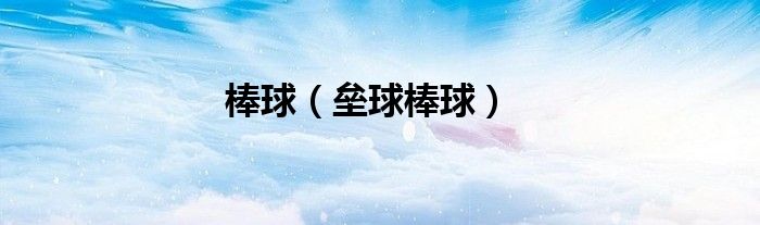 棒球（垒球棒球）