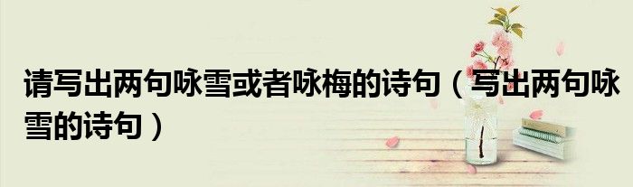 请写出两句咏雪或者咏梅的诗句（写出两句咏雪的诗句）