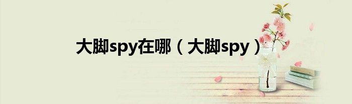大脚spy在哪（大脚spy）