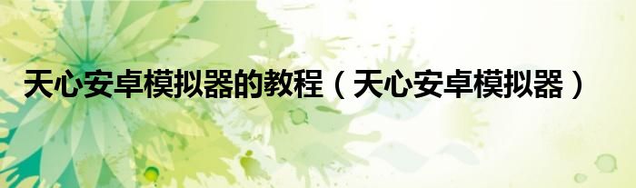 天心安卓模拟器的教程（天心安卓模拟器）