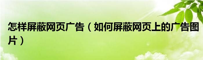 怎样屏蔽网页广告（如何屏蔽网页上的广告图片）