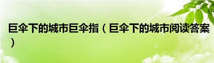 巨伞下的城市巨伞指（巨伞下的城市阅读答案）