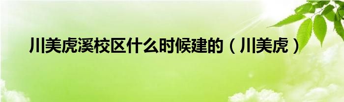 川美虎溪校区什么时候建的（川美虎）