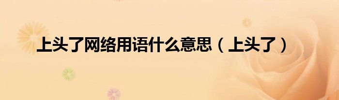 上头了网络用语什么意思（上头了）