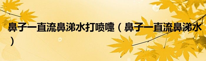 鼻子一直流鼻涕水打喷嚏（鼻子一直流鼻涕水）