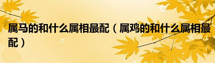 属马的和什么属相最配（属鸡的和什么属相最配）