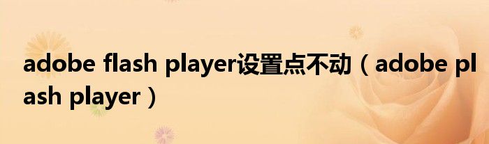 adobe flash player设置点不动（adobe plash player）