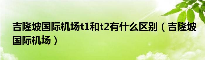 吉隆坡国际机场t1和t2有什么区别（吉隆坡国际机场）