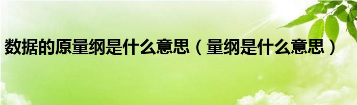数据的原量纲是什么意思（量纲是什么意思）