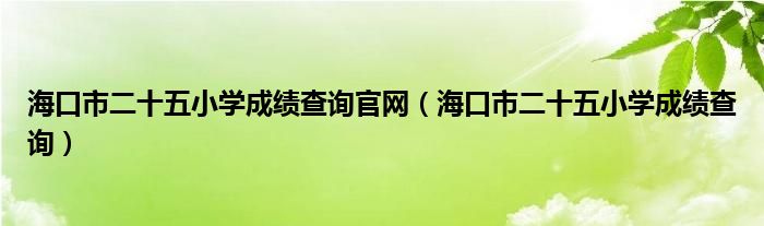 海口市二十五小学成绩查询官网（海口市二十五小学成绩查询）