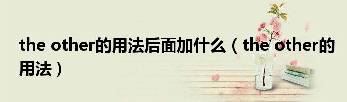 the other的用法后面加什么（the other的用法）