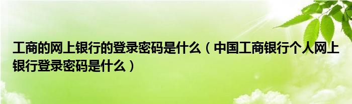 工商的网上银行的登录密码是什么（中国工商银行个人网上银行登录密码是什么）