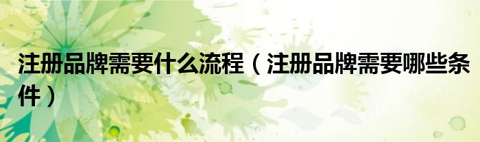 注册品牌需要什么流程（注册品牌需要哪些条件）