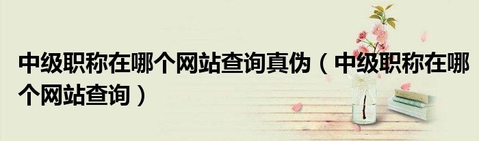 中级职称在哪个网站查询真伪（中级职称在哪个网站查询）