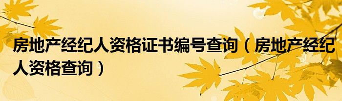 房地产经纪人资格证书编号查询（房地产经纪人资格查询）