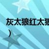 灰太狼红太狼动画片（哈哈镜之灰太狼红太狼）