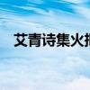 艾青诗集火把原文（艾青的诗 火把 原文）