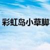 彩虹岛小草脚本大全（彩虹岛小草官方论坛）