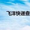 飞洋快递查询100（飞洋快递单号查询）